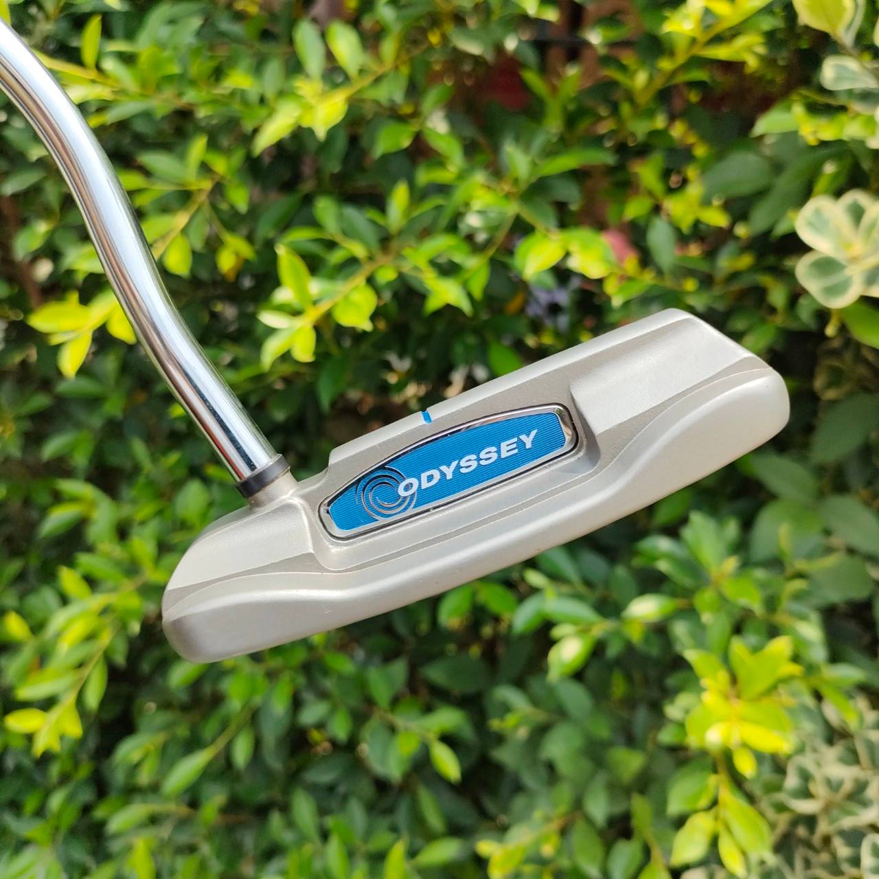 PUTTER ODYSSEY DIVINE LINE BLADE ความยาว 33 นิ้ว ออกแบบมาสำหรัยคุณผู้หญิง เป็นพัตเตอร์ระดับ TOP ของวงการ รุ่นนี้หน้าไม้ทั้งนุ่มและเกาะไลน์ในไม้เดียวกัน