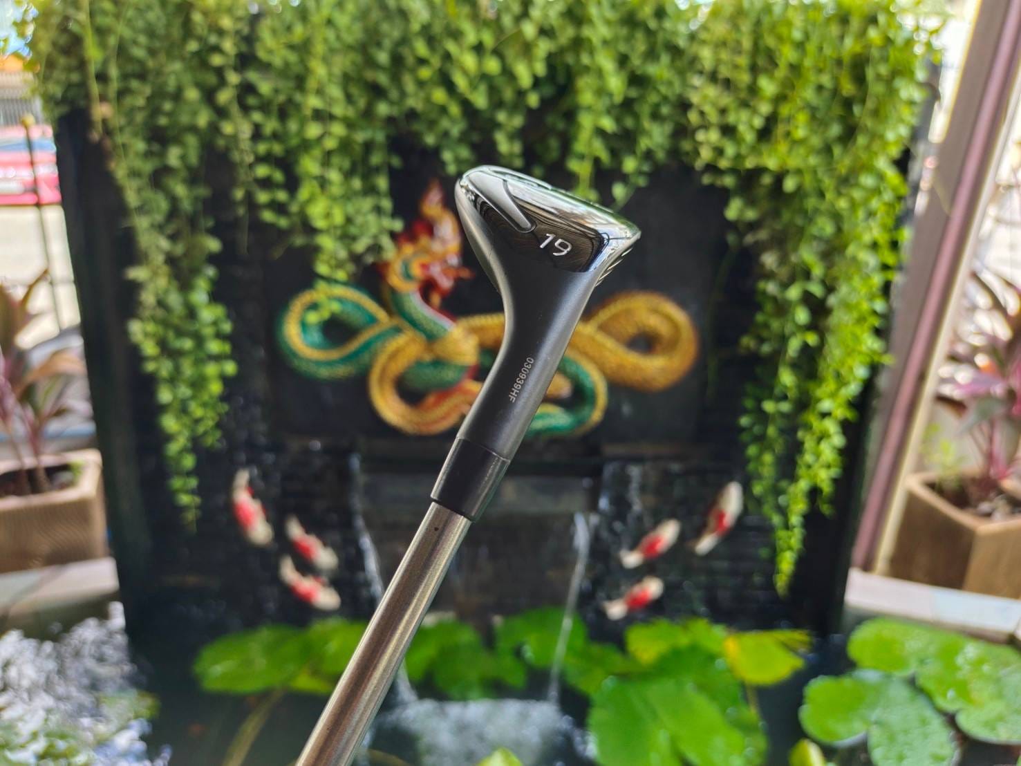 HYBRID PING i25 องศา 19