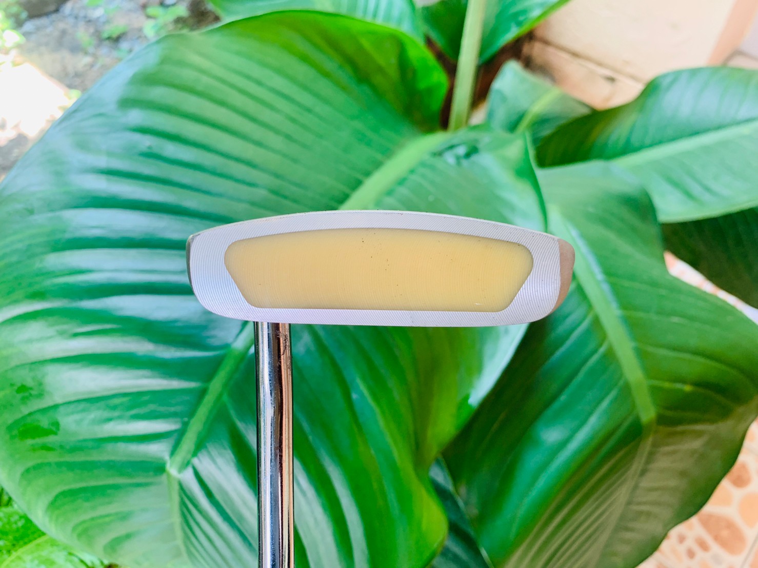 ไม้กอล์ฟครบชุดมือสอง PROKENNEX