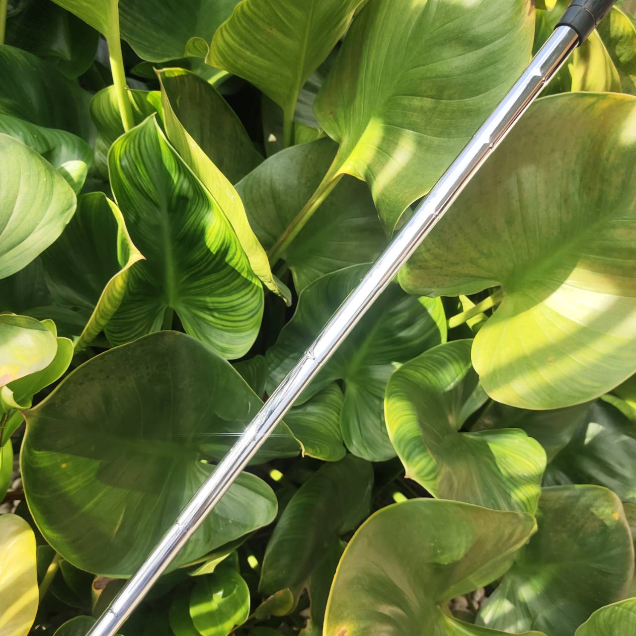 WEDGE EXCEED GOLD องศา 54 หน้าตะไบ ตกหยุดถอยๆ โหดมาก!!! วัสดุพรีเมี่ยม สีทอง สวยงามและหรูหรามาก!!!