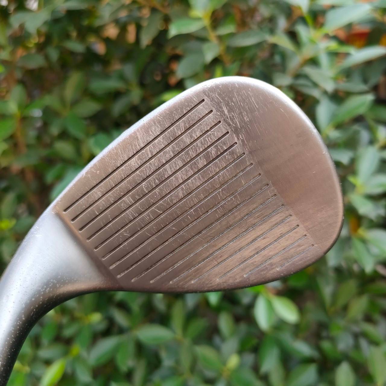 WEDGE CLEVELAND CG10 2จุด องศา 60 ก้าน NS.PRO 950GH FLEX S STANDARD BOUNCE สับๆ แม่นๆ คุณภาพดีมากครับ