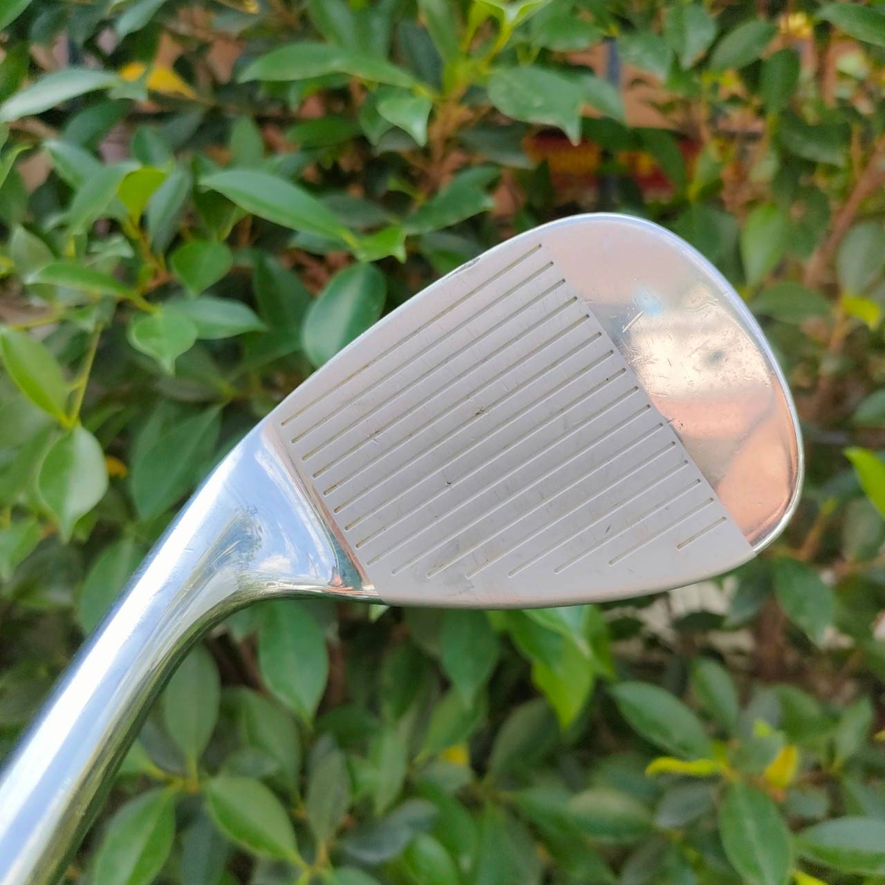 WEDGE CLEVELAND REG.588 องศา 56 FLEX WEDGE รุ่นดัง ORIGINAL ของ CLEVELAND เป็น WEDGE ชั้น 1 ของวงการกอล์ฟ