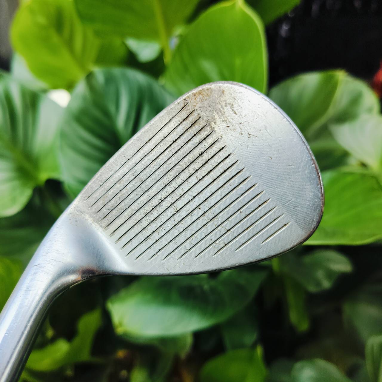 WEDGE Titleist SM6 องศา 54 BONCE 10 S Grind . S GRIND แรงบันดาลใจจาก สตีฟ สตริคเกอร์ เล่นได้ดีที่สุดในการตีแบบหน้าไม้สแควร์ และให้ความหลากหลายในการเล่น มากกว่า F Grind เหมาะการเล่นลูกสั้นด้วยกลไกการสวิงที่เรียบง่าย ไม้กอล์ฟพรีเมี่ยมญี่ปุ่นมือสอง ของแท้ By