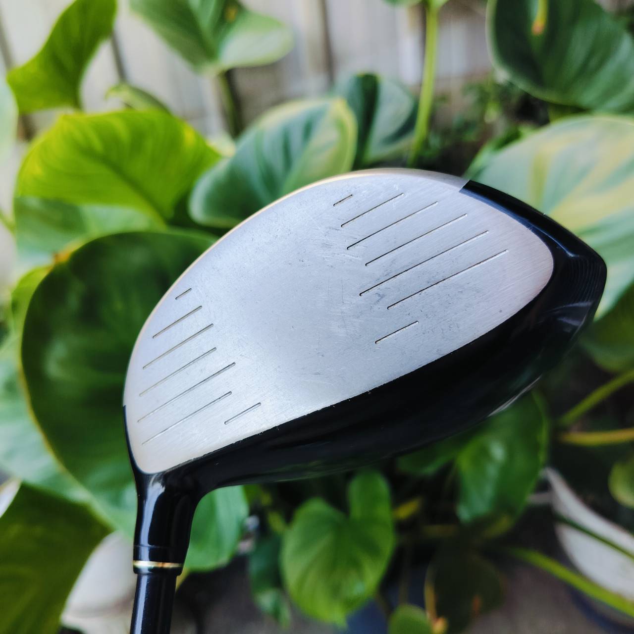 DRIVER SRIXON W-403 AD องศา 9.5 ก้าน SRIXON SV-3000 FLEX S วัสดุเบต้าไทเทเนี่ยม พรีเมี่ยมญี่ปุ่น ไม้กอล์ฟพรีเมี่ยมมือสอง ของแท้ By NakaraLuxurious