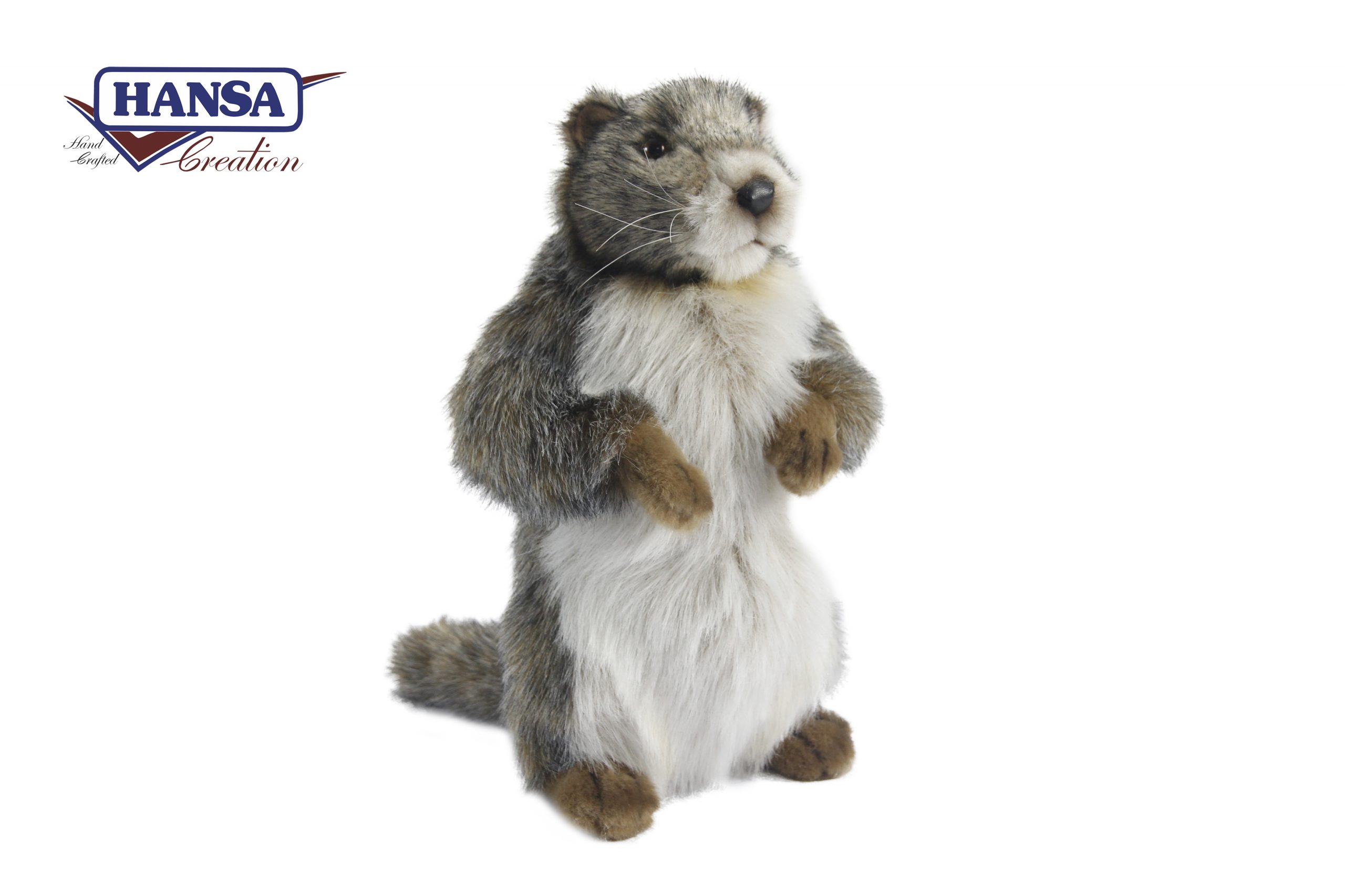 3764 Marmot 32 cm.H