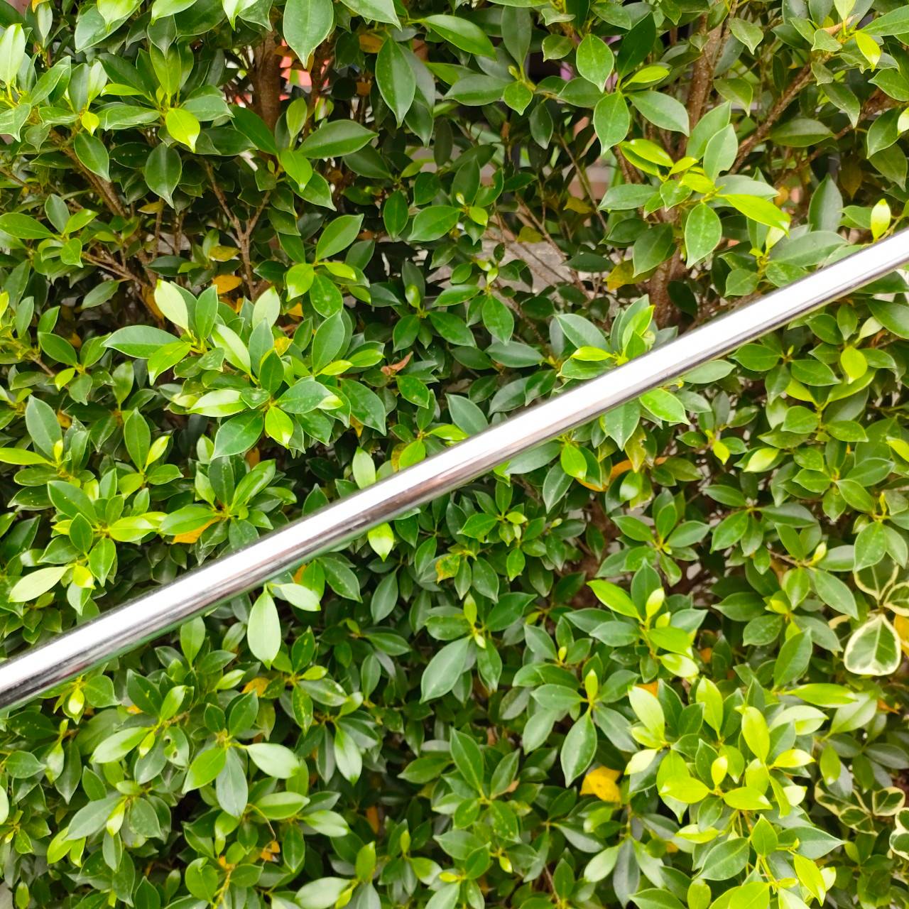 PUTTER GOLDEN BEAR JNP-1 แจ๊ค นิคคลอส AMIDAS 5 ความยาว 34 นิ้ว .