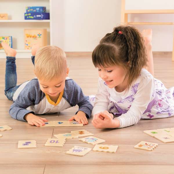 ชุดสังเกต ตัวเลข-รูปทรง-ตาลูกเต๋า,ของเล่นเสริมพัฒนาการ ,ของเล่นเสริมทักษะ,ของเล่นเด็ก, สื่อการสอนอนุบาล