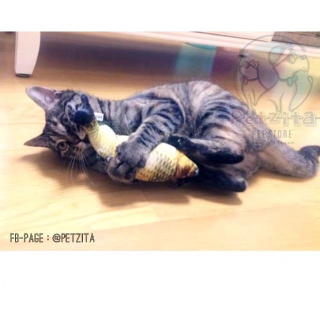 🇹🇭พร้อมส่ง🇹🇭 ตุ๊กตาปลาแคทปนิป 🐟🐠🦈 ยัดในผสมไส้แคทนิป หญ้ากัญชาแมว