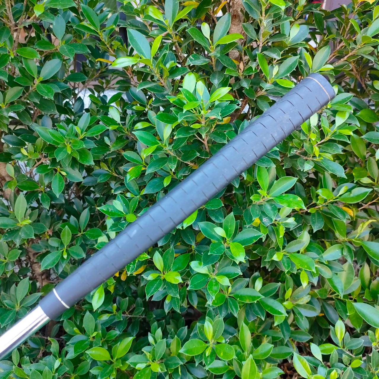 PUTTER FOCUS 542 PARAMITER WEIGHT SYSTEM ทรงสแตนดาร์ด พัตต์ง่าย สีสวยครับ ของดีราคาถูก คุ้มจัด!!!