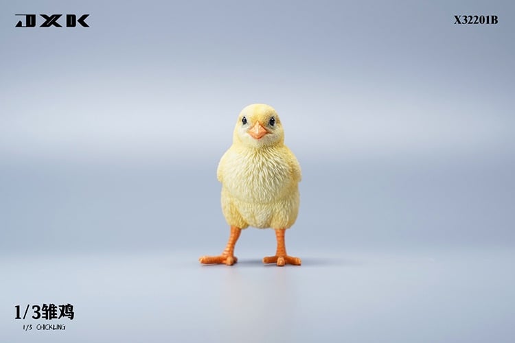 [สั่งจอง]JXK : Scottish Fold/Chckling/Duckling