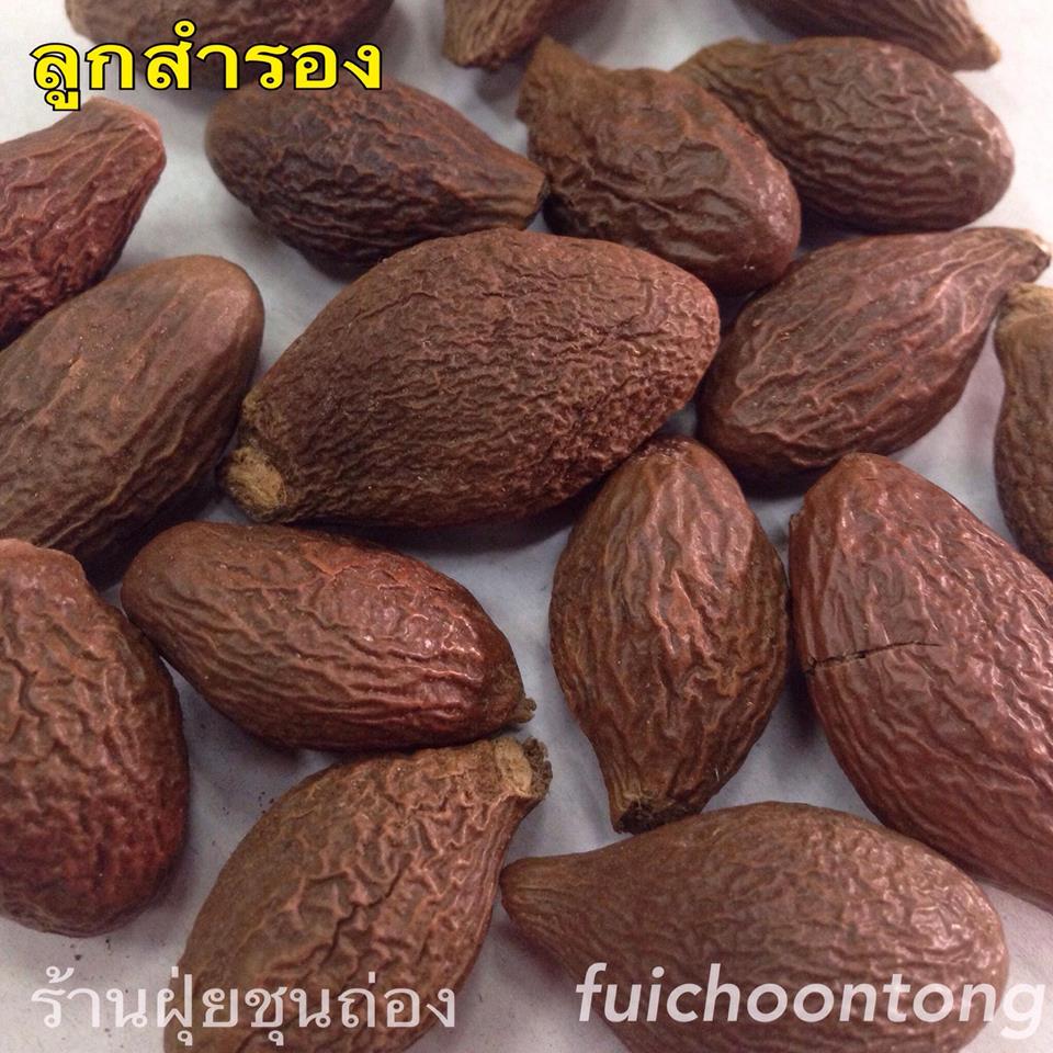 ลูกสำรอง