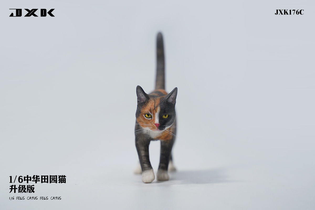 [สั่งจอง] JXK JXK176 1/6 : Felis Catus