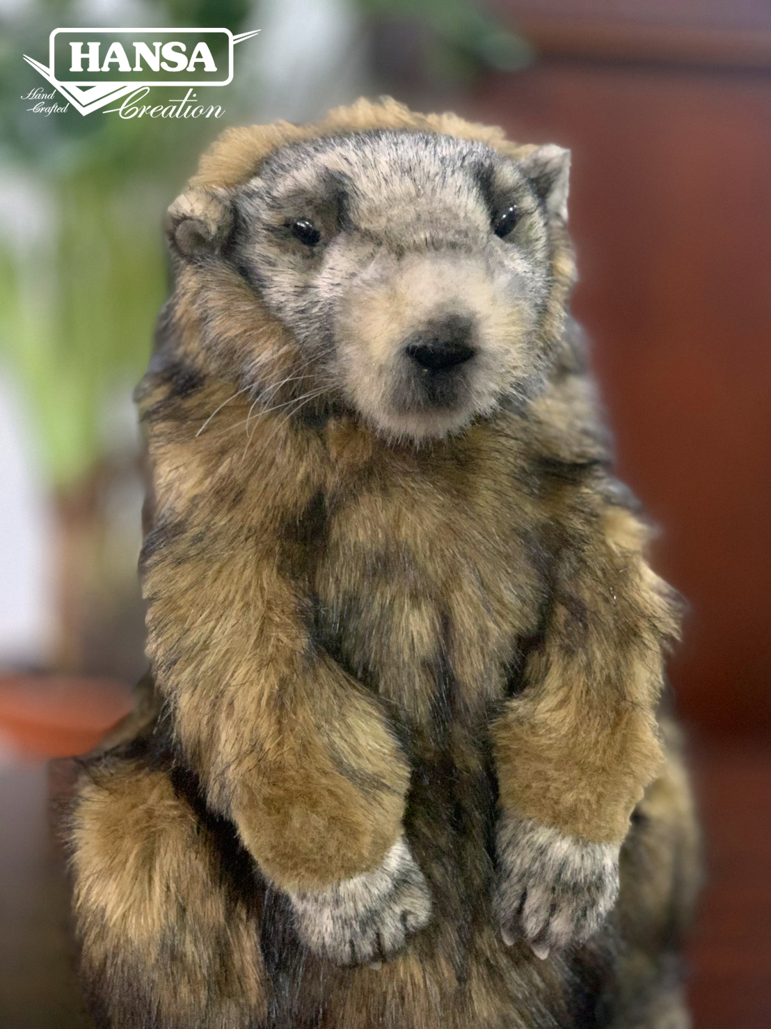 6749 Marmot 34cm.H - ตุ๊กตามาร์มอต