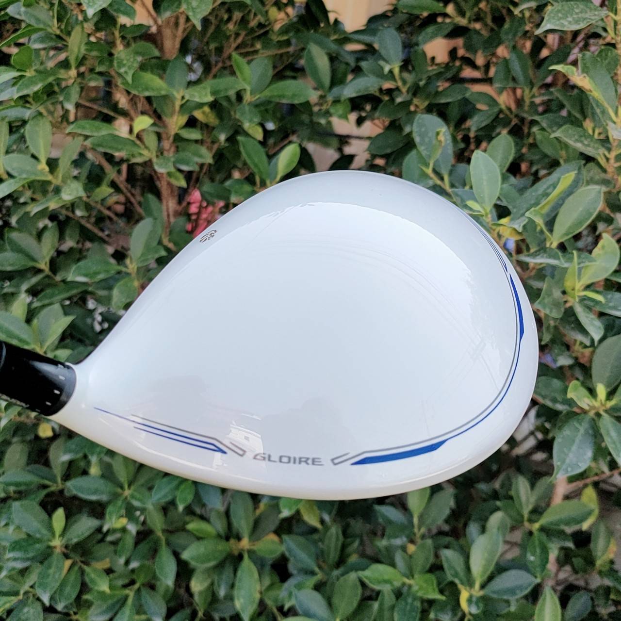 DRIVER TAYLORMADE GLOIRE SPEED POCKET องศา 10 ก้าน FUJIKURA SPEEDER 569 EVOLUTION II FLEX SR