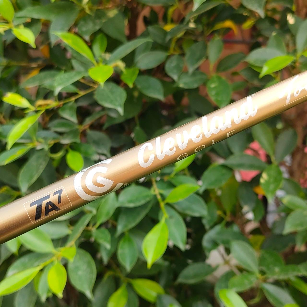 ชุดเหล็ก CLEVELAND TA7 มีเหล็ก 5-9 เเละ PW ก้าน CLEVELAND TA7 FLEX R เหล็กที่ดีที่สุดของ Cleveland ตีง่าย ตีไกล ตีนุ่มมากๆ