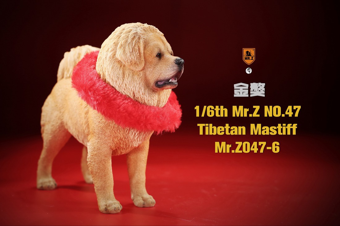 [สั่งจอง] MR. Z Animal Model MRZ047 1/6th Tibetan Mastiff