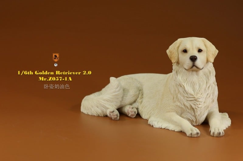 [สั่งจอง]Mr.Z MRZ057 1/6 : Golden Retriever 2.0