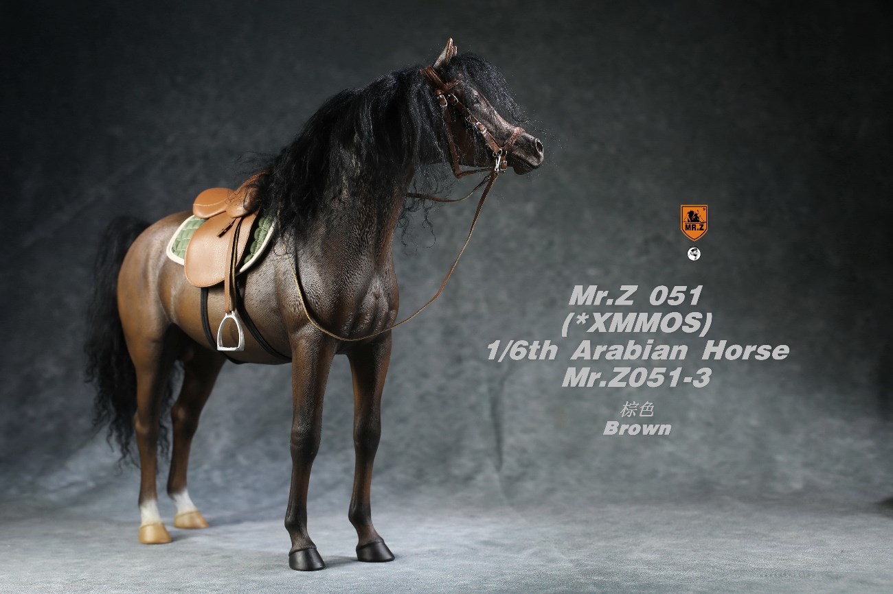 [สั่งจอง]Mr.Z MRZ051 1/6 animal model : Arabian Horse