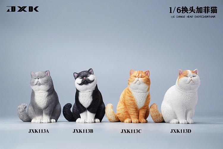 [สั่งจอง]JXK JXK113 1/6 : Change Head Exoticshorthair