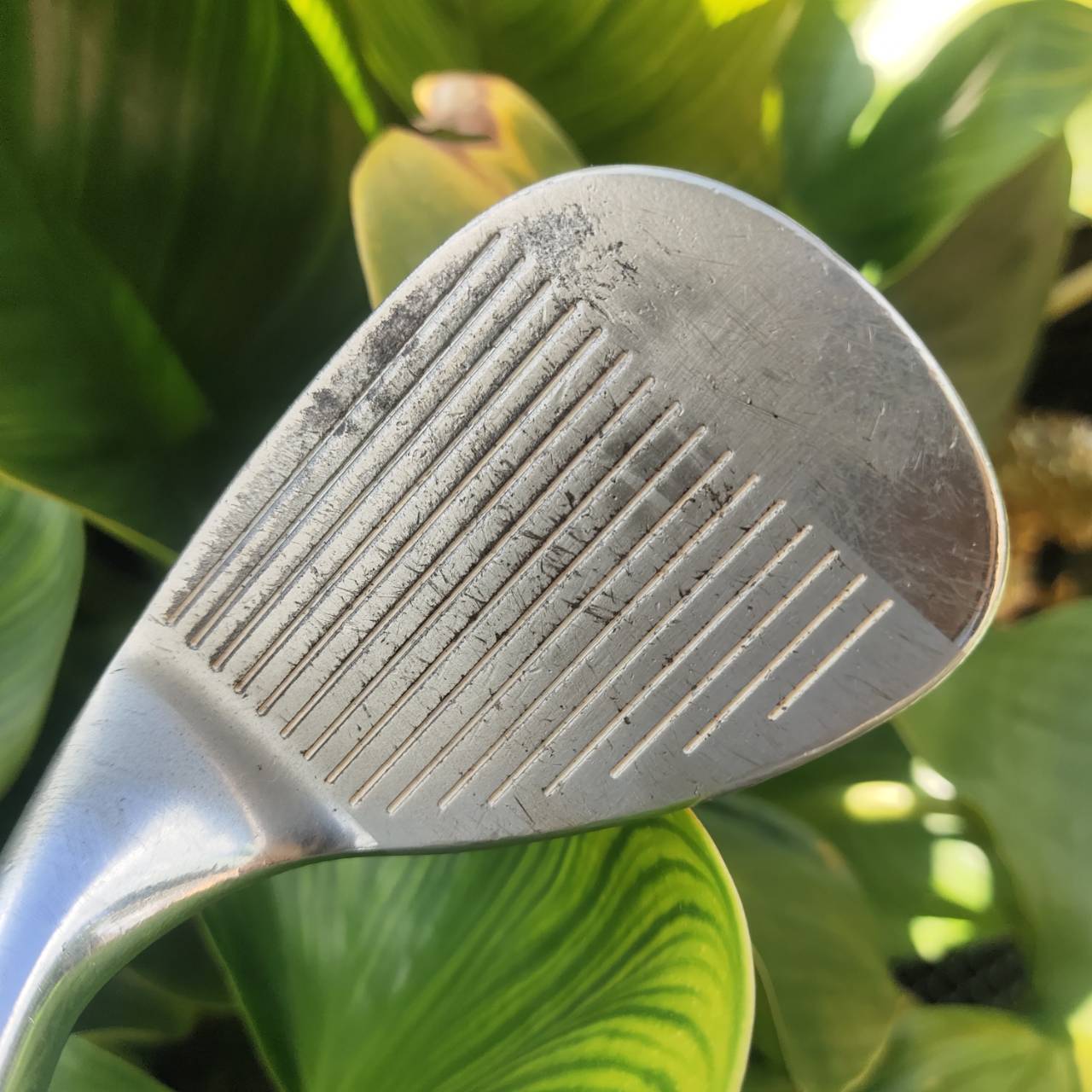 Wedge Rare Item – Cleveland Millennium Year 2000 (60°) ของสะสม + ใช้งานได้จริง!