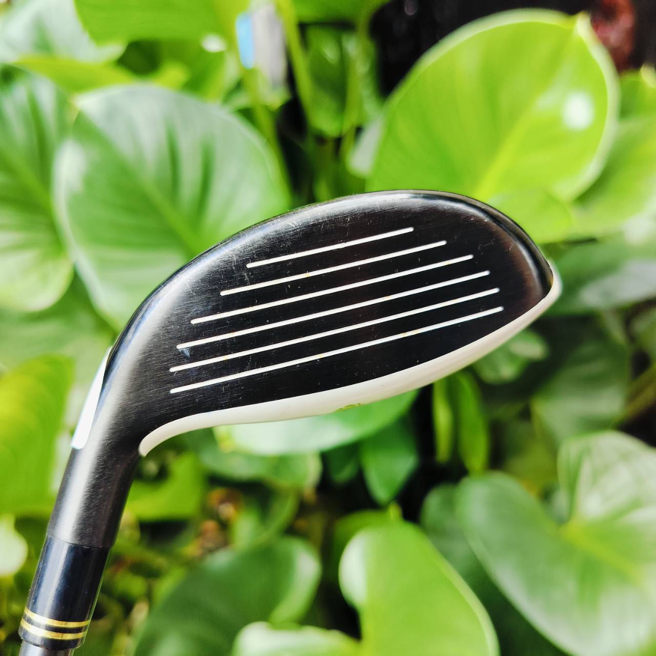 FW3 TAYLORMADE GLOIRE G ก้านกราไฟต์ GLOIRE G FLEX S GLOIRE เป็นซีรี่พรีเมี่ยมสูงสุดของ แบรนด์ Taylormade เน้นขายในญี่ปุ่น ไม้กอล์ฟพรีเมี่ยมมือสอง ของแท้ By NakaraLuxurious