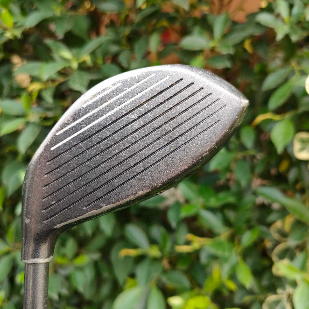 DRIVER TRIDENT GOLF WIDE BODY TOUR PROFESSIONAL องศา 11 ก้าน TRIDENT FLEX R