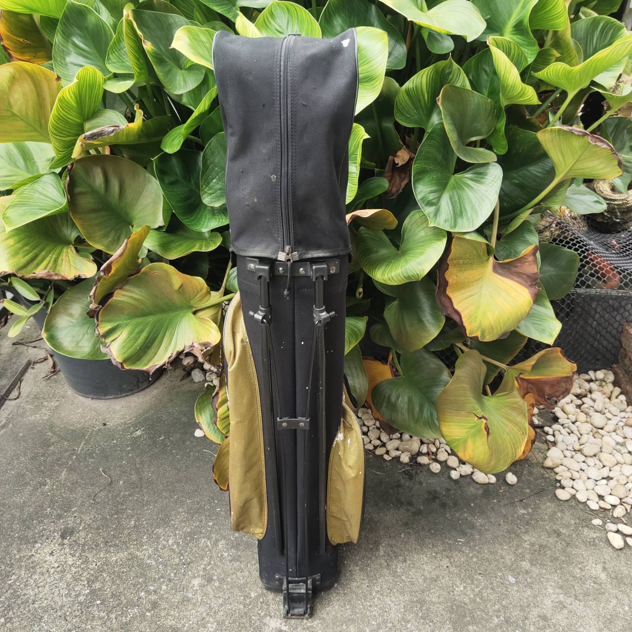 U.S. Kids Golf – Championship Series เหมาะสำหรับน้องๆ ความสูงประมาณ 145–155 cm