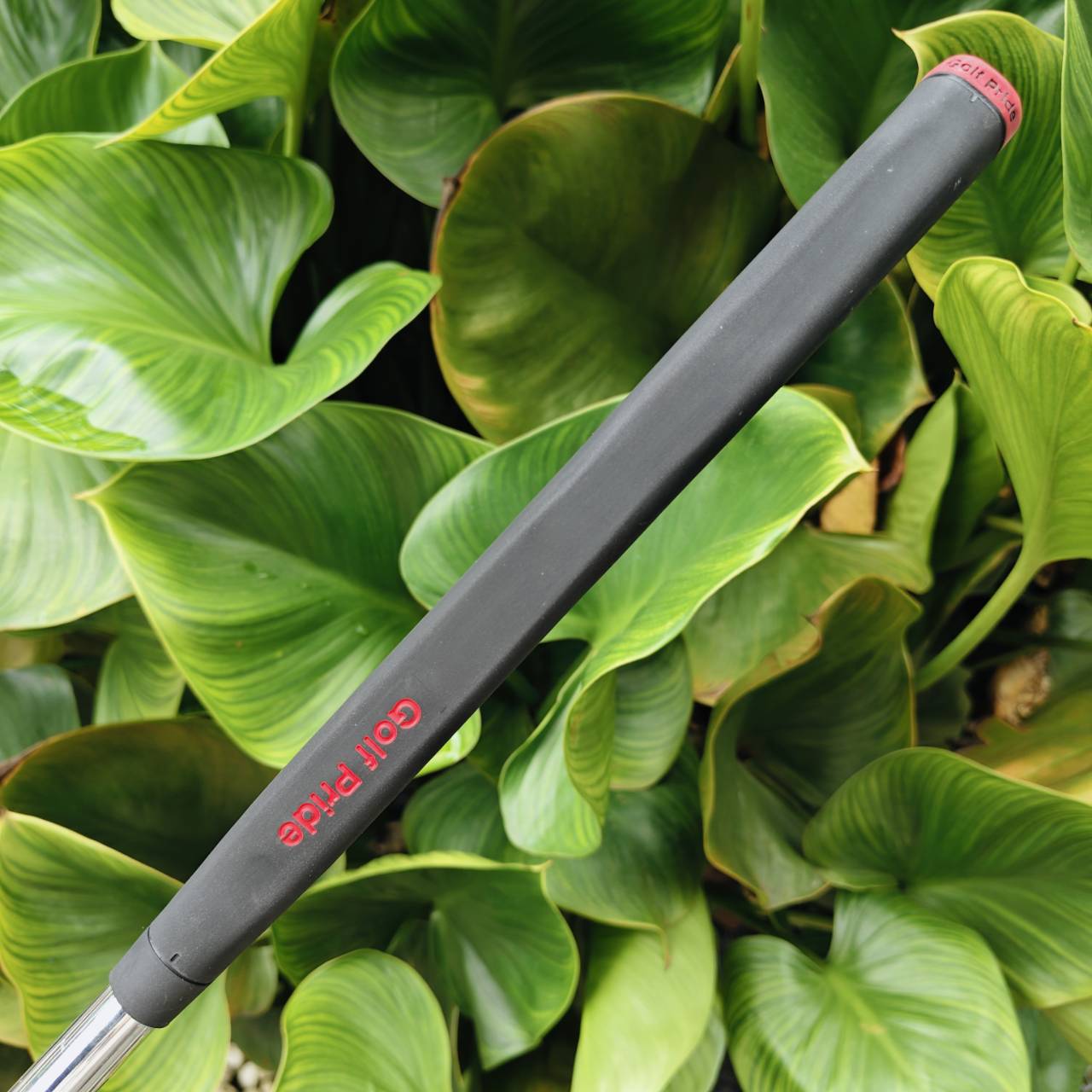 PUTTER Bridgestone TOURSTAGE ViQ TF-4 ให้ ความแม่นยำ ความเสถียร และความรู้สึกที่ยอดเยี่ยม ขณะพัตต์