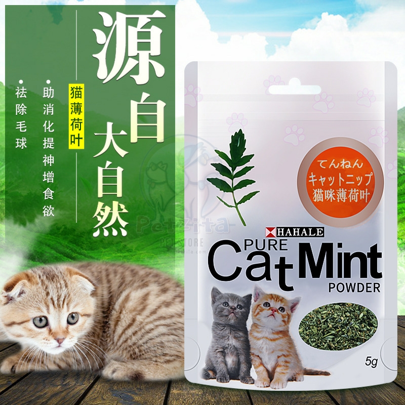 🇹🇭พร้อมส่ง🇹🇭 🐱 #แคทนิป กัญชาแมวแบบผง ขนาด 5 กรัม