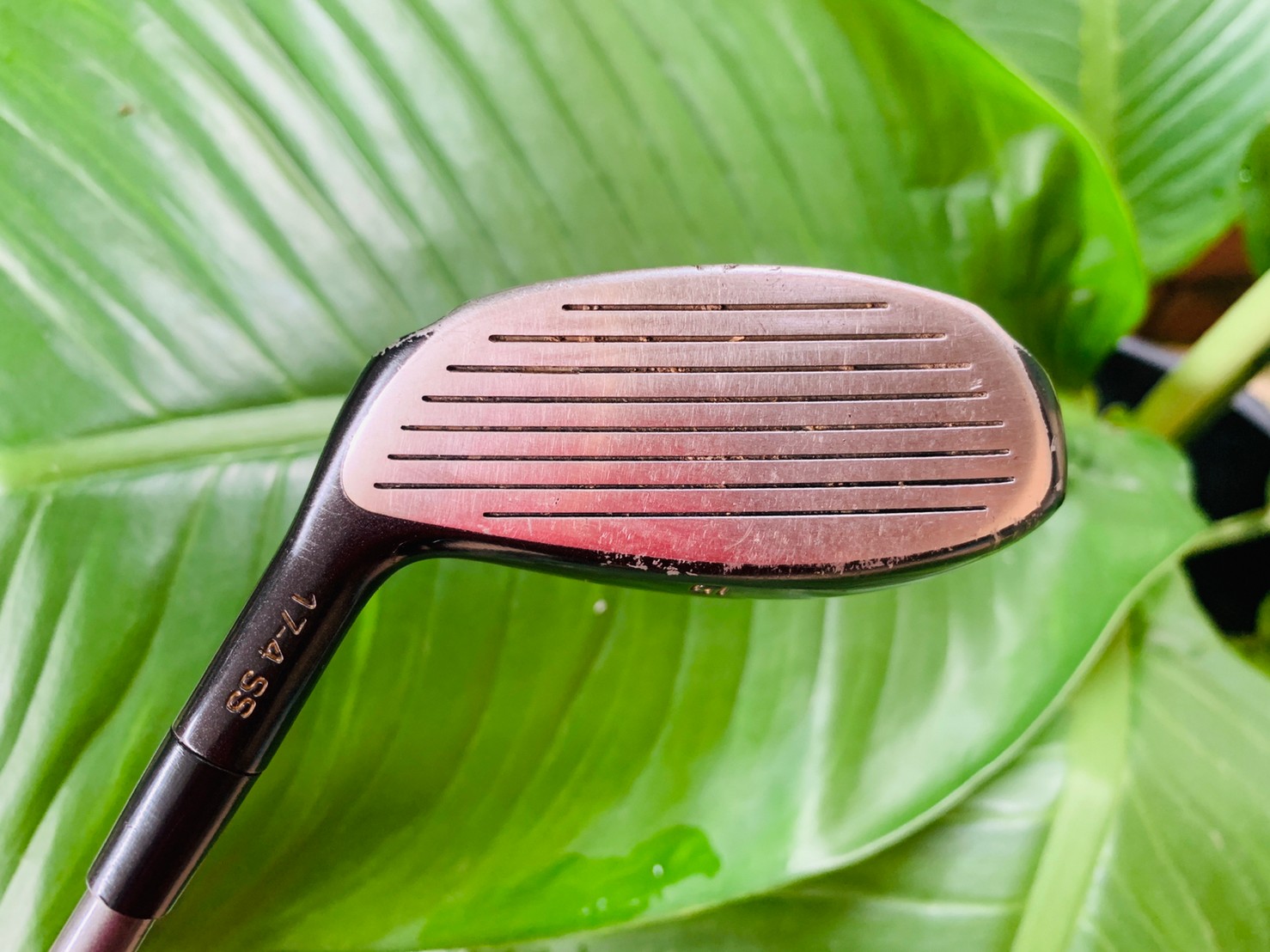 Fairway 5 golf challenge