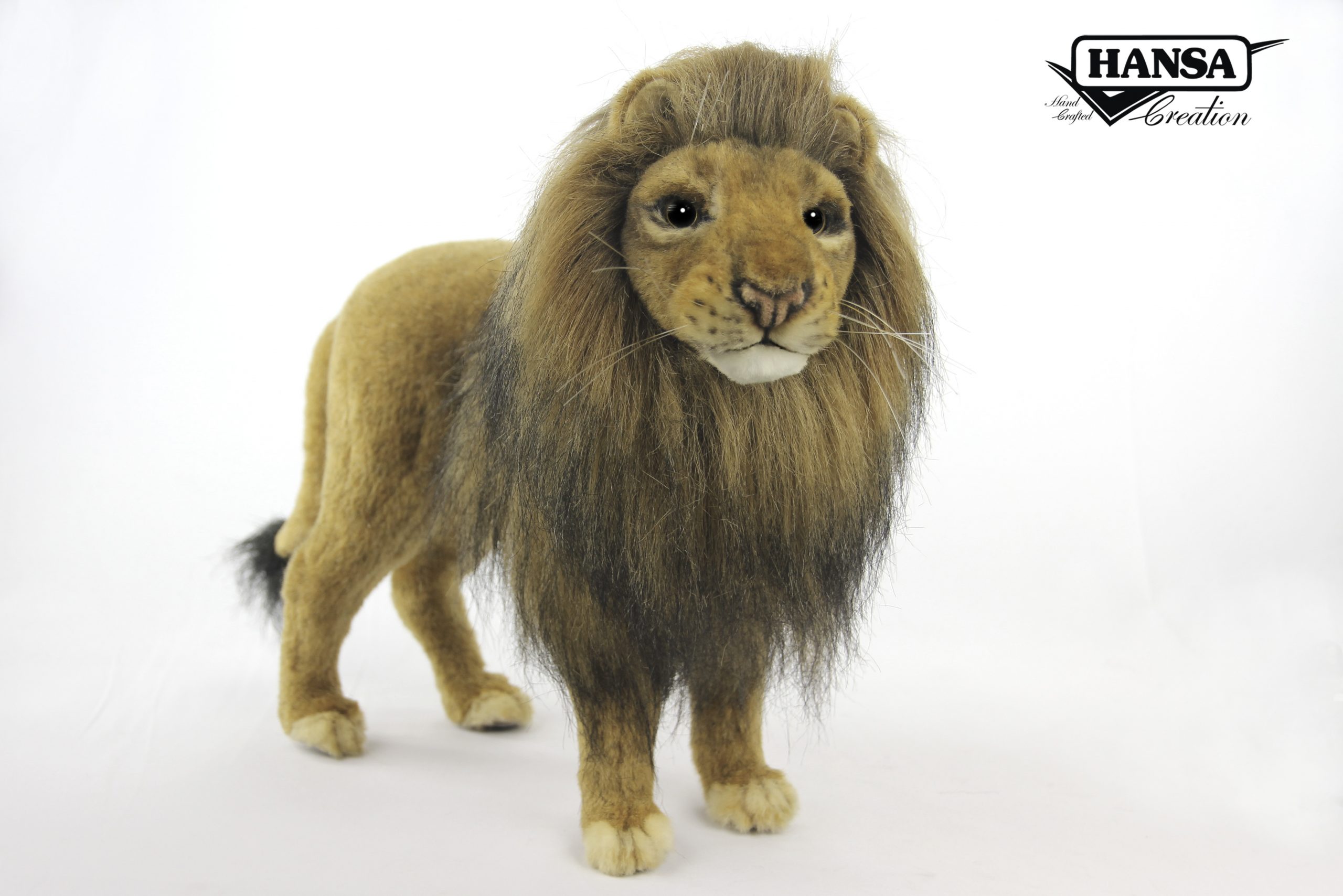 8094 Lion Male 43 cm.L