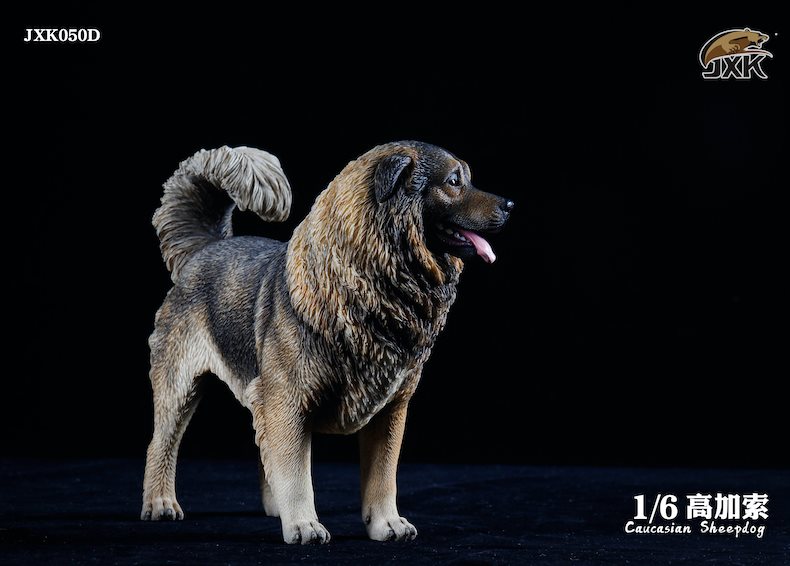 [สั่งจอง]JXK JXK050 1/6 : Caucasian Sheepdog