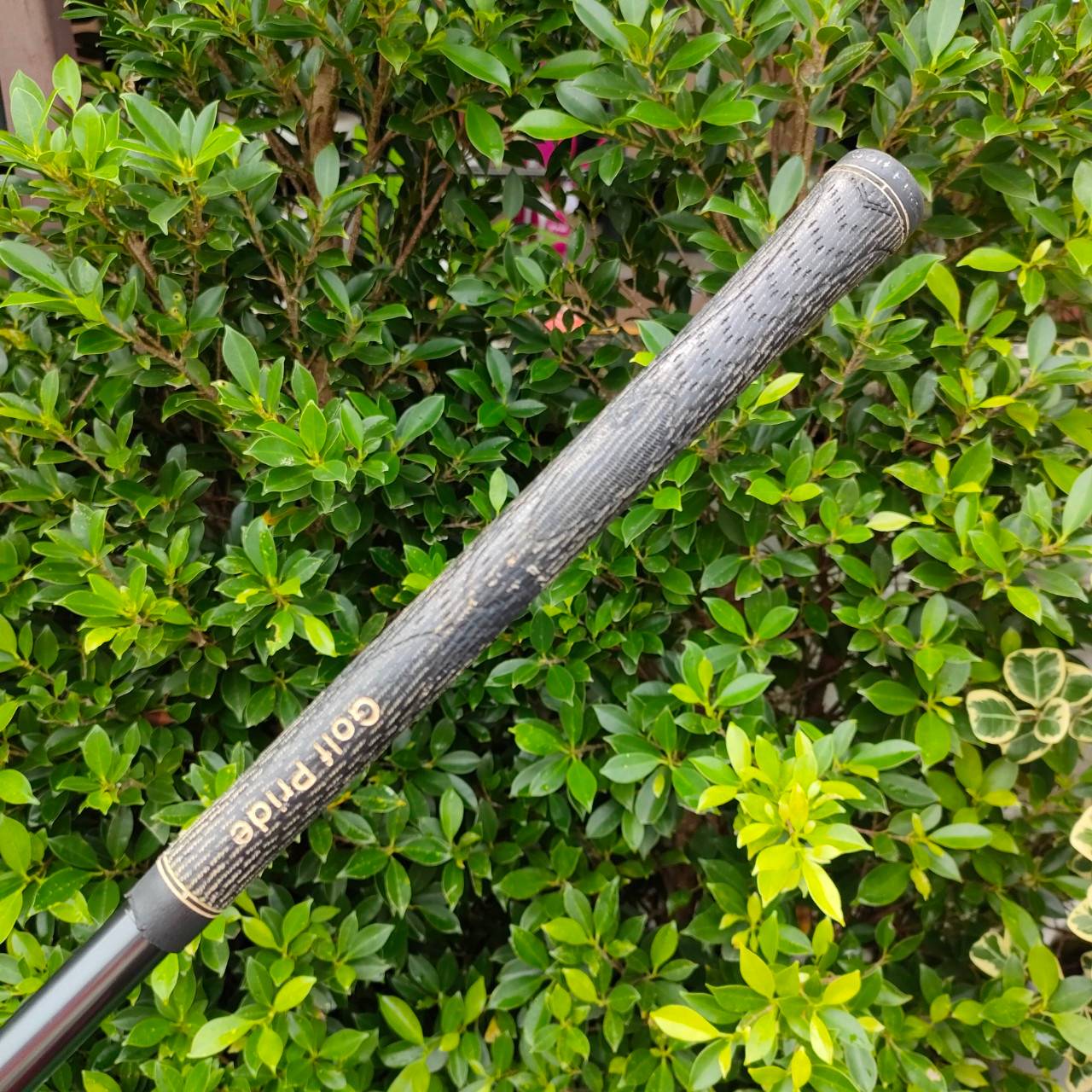 DRIVER KING COBRA 414 COMP ก้าน MITSUBISHI RAYON FLEX S องศา 9 กระดองเด้ง เป็นกระดองคอมโสิท เด้งทั้งตัว หัวนี้ถ้าลองจะติดใจมาก ตีง่าย และ ตีไกลสุดๆ เสียงสนั่นครับ