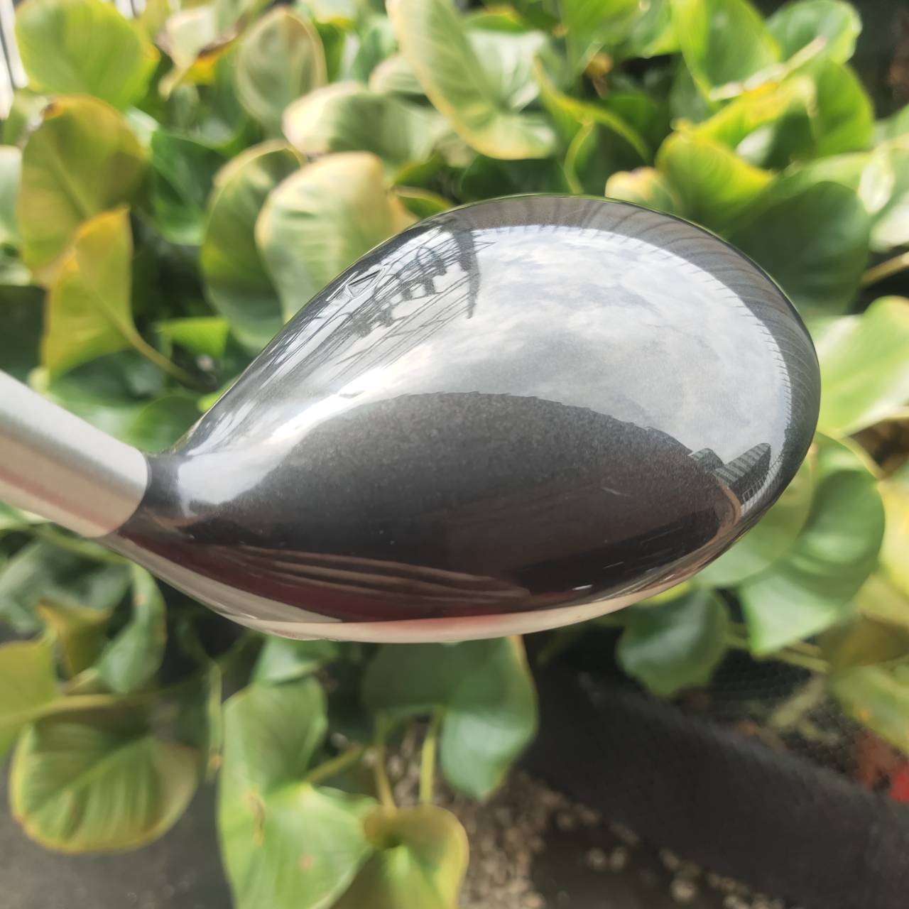Driver Titleist 983K สำหรับคนชอบตีแฟร์เวย์แม่นๆ หัว Titanium หน้าเด้ง เสียงแน่น ฟีลจัดเต็ม