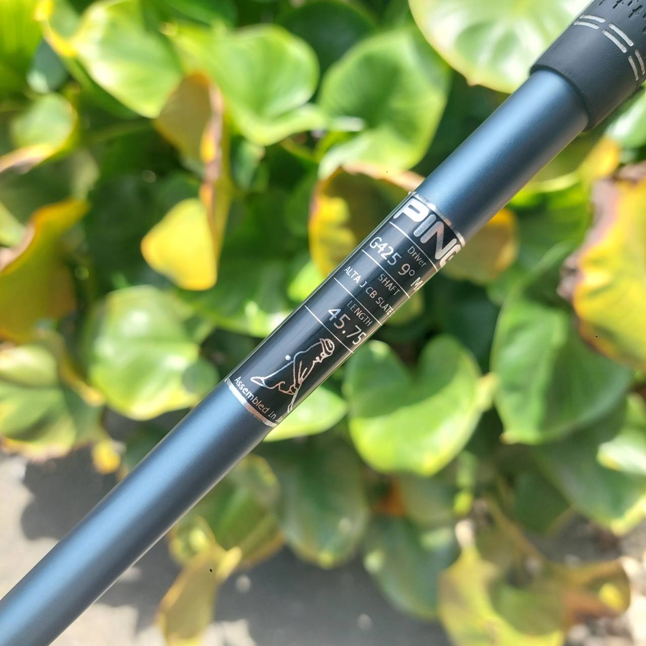 Driver PING G410 SFT ขจัด Slice และตีตรงด้วยเทคโนโลยีระดับพรีเมียม