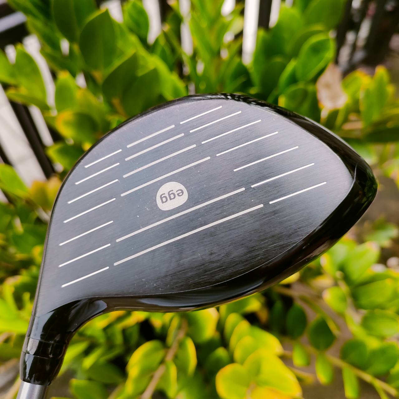 DRIVER PRGR EGG FORCE OF EGG องศา 10 ก้าน PRGR M-40 FLEX SHAFT ขนาดหัวใหญ่ หน้าสวีตสปอตกว้างมากๆ ตีง่าย ไม้กอล์ฟพรีเมี่ยมมือสอง ของแท้ By NakaraLuxurious