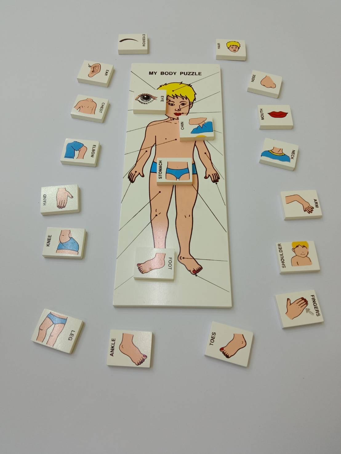 จับคู่ร่างกายของฉัน (ภาษาไทย) , ของเล่นไม้, ของเล่นเสริมพัฒนาการ, ของเล่นเด็ก, สื่อการสอนเด็ก