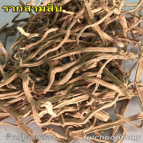 รากสามสิบ