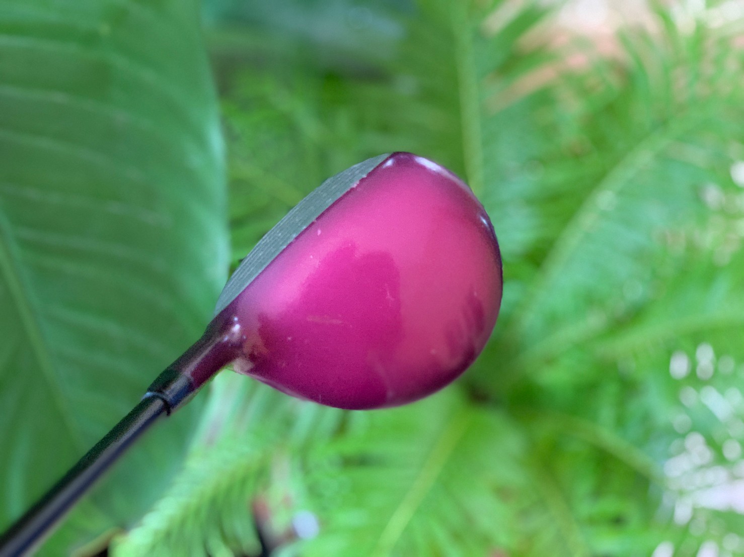 FAIRWAY 4 KASCO DIMPALS LOFT*18 ***ไม้กอล์ฟสำหรับผู้หญิง***