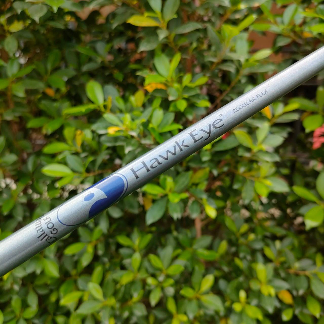 ชุดเหล็ก CALLAWAY HAWK EYE มีเหล็ก 4-9 เเละ PW เเละ SW ก้าน HAWK EYE FLEX R