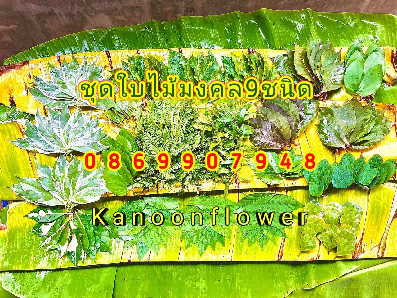 ชุดใบไม้มงคล9ชนิด