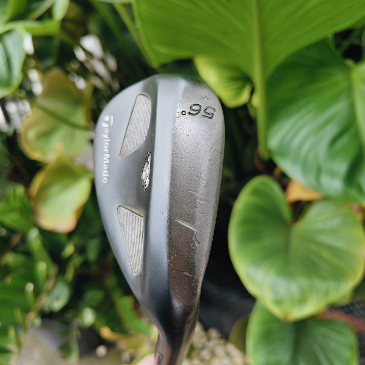 WEDGE TAYLORMADE RAC TP – 56° Bounce 12° เวดจ์ยอดนิยม สำหรับช็อตรอบกรีนและ bunker 🎯