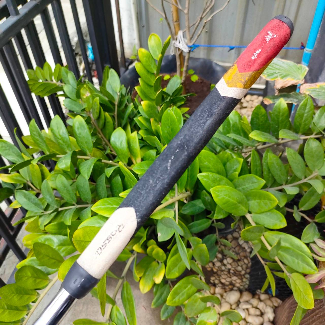 PUTTER TAYLORMADE ROSSA MONZA CORZA ความยาว 34 นิ้ว ** กริฟเสื่อม ** หน้า AGSI เกาะไลน์มากๆ ชดเชยความผิดพลาดได้สูงสุด พัตต์นุ่มและนิ่งมาก เล็งง่ายมาก แม่นไลน์มากๆ ไม้กอล์ฟพรีเมี่ยมมือสอง By NakaraLuxurious