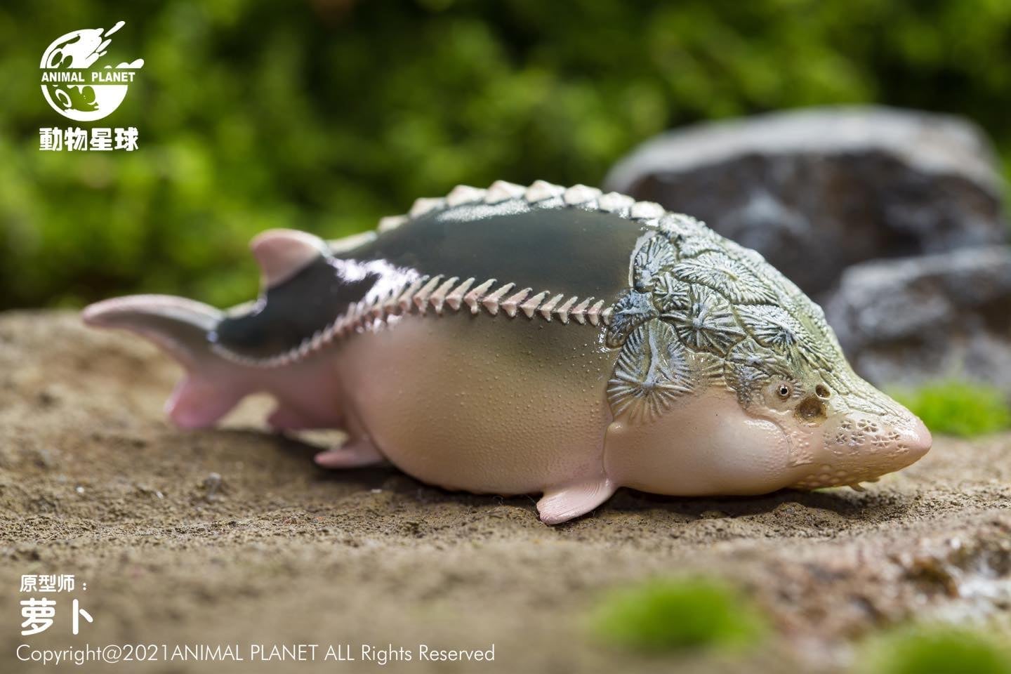 [สั่งจอง]Animal Planet : Chinese Treasure