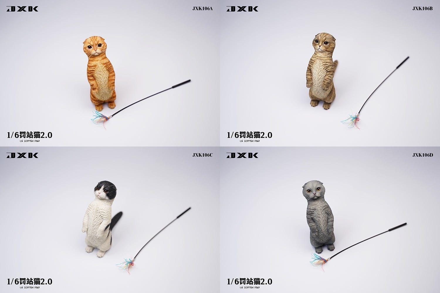 [สั่งจอง]JXK : Scottish Fold/Chckling/Duckling