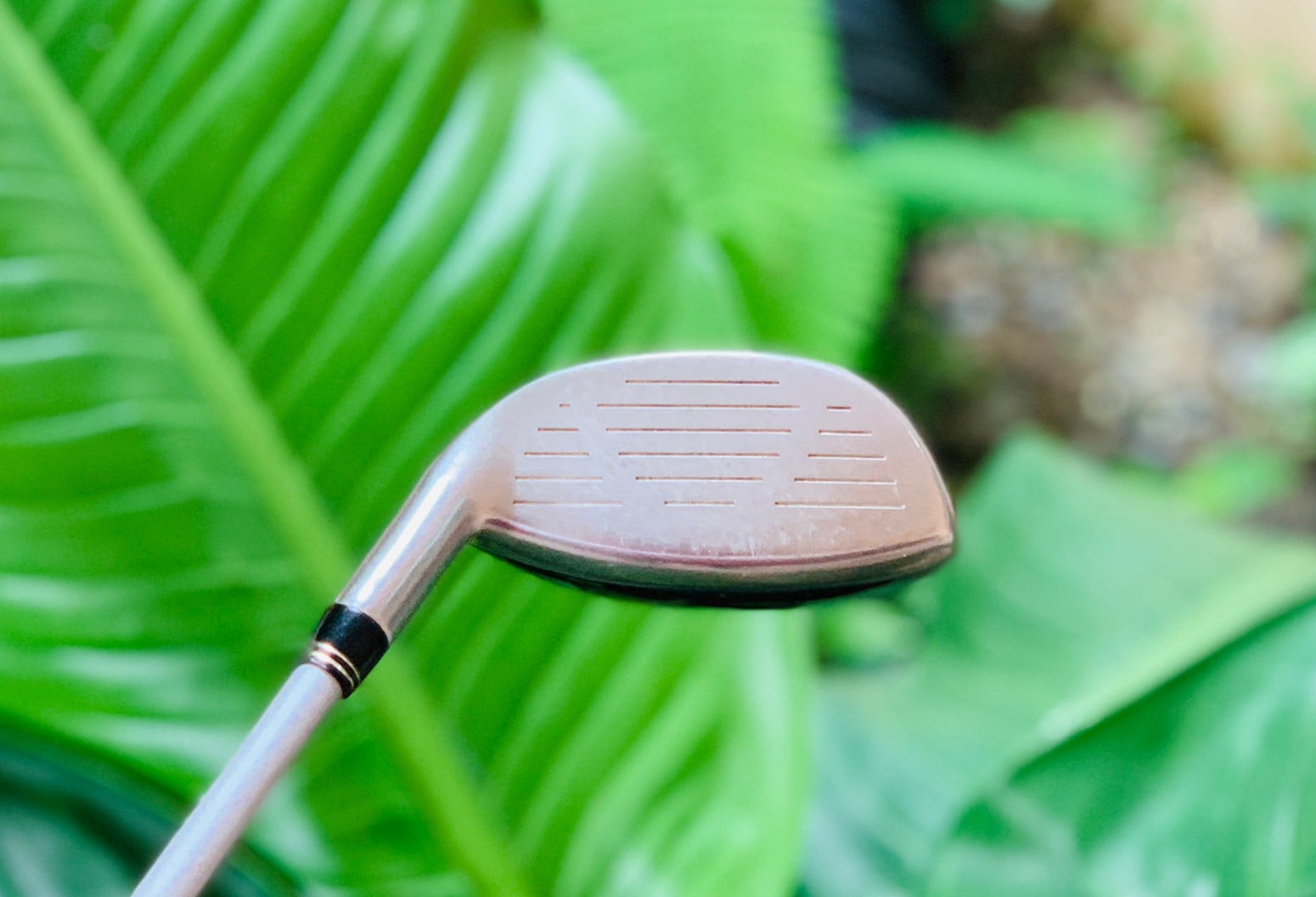 FAIRWAY 6 COBRA S3MAX