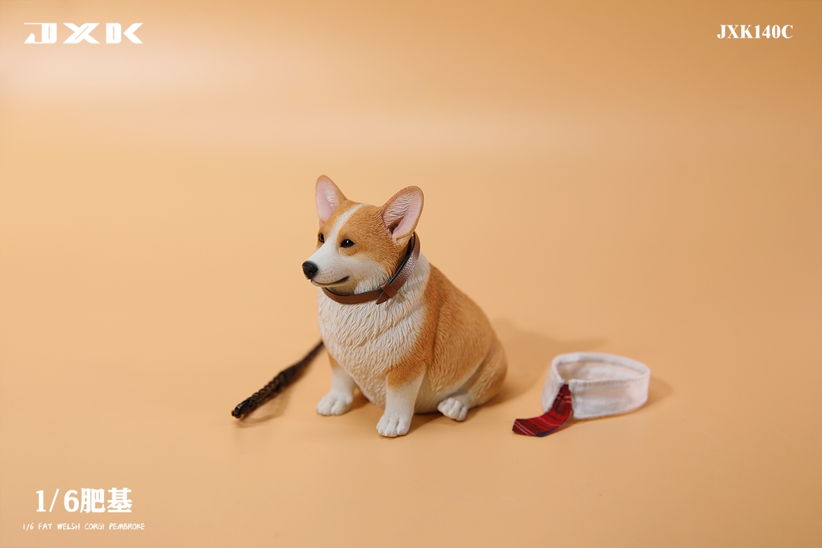 [สั่งจอง]JXK 1/6 : Fat Welsh Corgi Pembroke