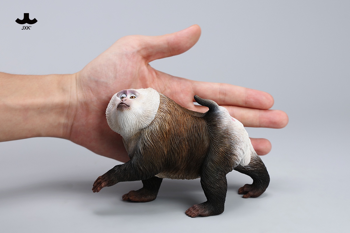 [สั่งจอง]JXK JXK250 1/6 : Northern Pigtail Macaque Figurine