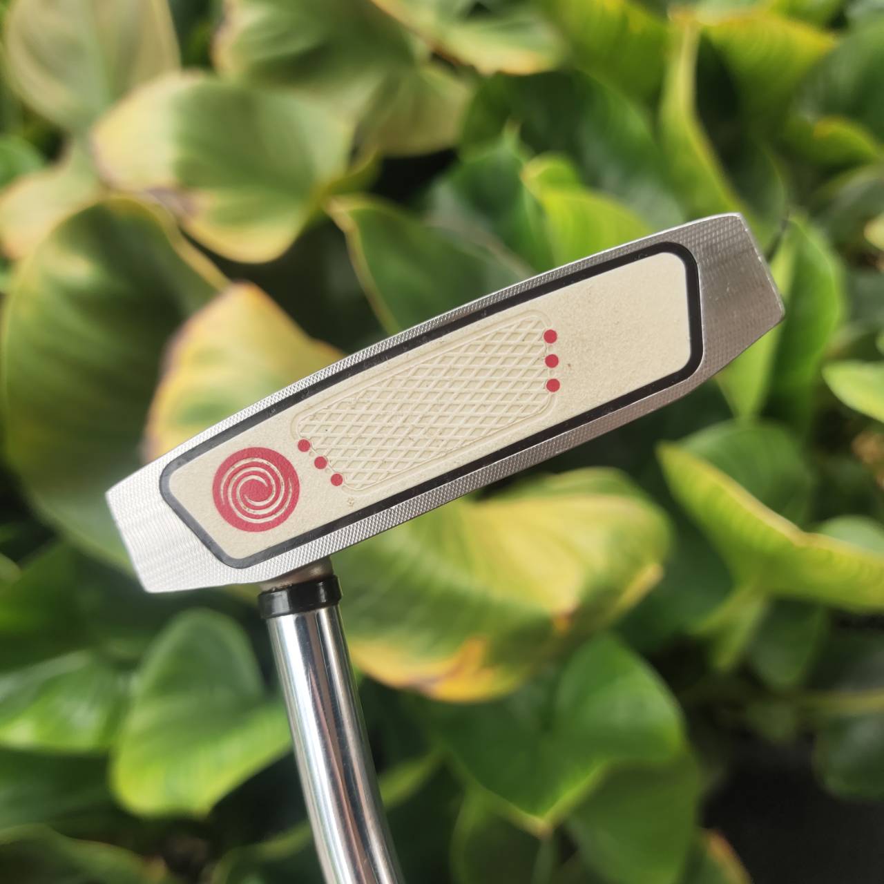 Putter ODYSSEY WHITE HOT XG #7 ปีกสองข้าง พัตต์ตรงและนิ่ง ทรงที่นิยมสูงสุดตอนนี้