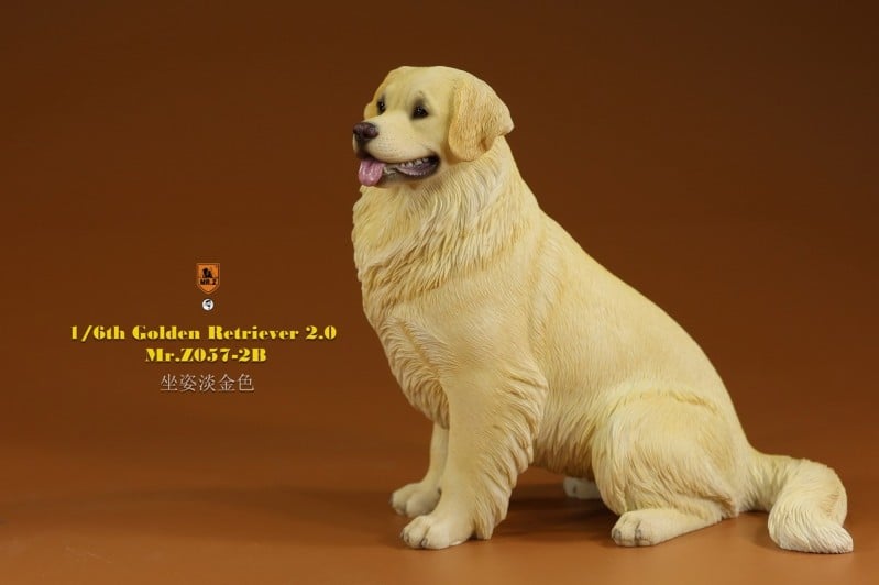 [สั่งจอง]Mr.Z MRZ057 1/6 : Golden Retriever 2.0